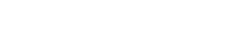 Neostella logo