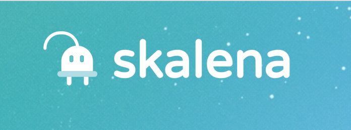 logo partner Skalena