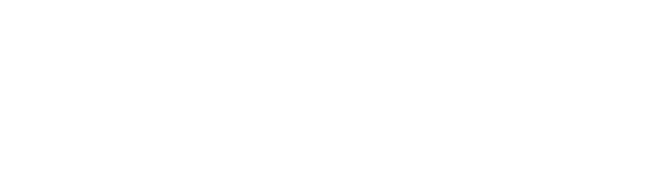 logo partner Skalena